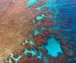 Superondas de calor marinho explicam aquecimento dos oceanos