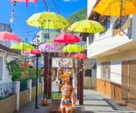 Cor e sabor! Descubra a charmosa Rua das Flores em Domingos Martins