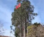 Fazenda é invadida por integrantes de movimento no Sul do Estado