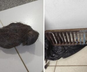 Guardas recuperam fios de cobre e tampa de bueiro furtados em Cachoeiro cobre e tampa de bueiro furtados em Cachoeiro