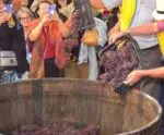 Imperdível: vem aí a 25ª Festa do Vinho e da Uva em Santa Teresa