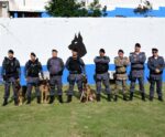 Batalhões da PM no Espírito Santo recebem novos cães de faro