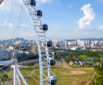 Roda Rico! Como é o passeio na maior roda-gigante da América Latina em São Paulo