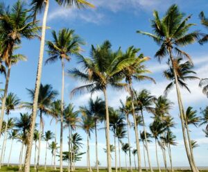 Vai dar praia? Confira a previsão do tempo deste sábado (21) no ES