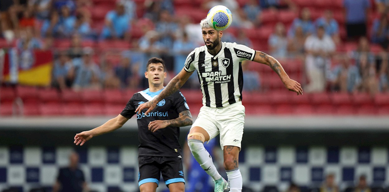 Foto: Divulgação/Botafogo Foto: Divulgação/Botafogo