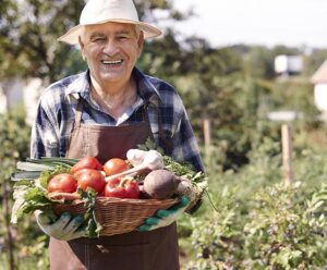 Coops apostam na agricultura regenerativa Coops
