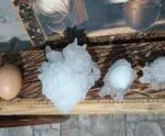 Tempestade de granizo com recorde no Brasil: pedra atinge 14,6 cm