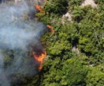 ES registra aumento de 94% no número de queimadas em vegetações