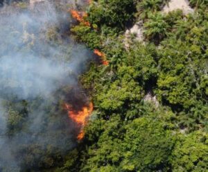 ES registra aumento de 94% no número de queimadas em vegetações