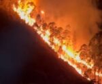 VÍDEO | Mais um incêndio em vegetação assusta moradores em Venda Nova