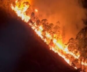 VÍDEO | Mais um incêndio em vegetação assusta moradores em Venda Nova Incêndio em Venda Nova do Imigrante