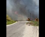 VÍDEO | Incêndio atinge área de bambuzal na Serra da Aliança, em Muqui