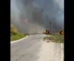 VÍDEO | Incêndio atinge área de bambuzal na Serra da Aliança, em Muqui