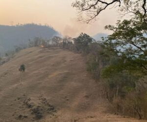 Equipes tentam controlar incêndio no Parque Mata das Flores, em Castelo Incêndio no Parque Mata das Flores