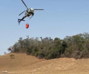 VÍDEO | Novos focos de incêndio no Parque Mata das Flores, em Castelo Incêndio no Parque Mata das Flores