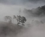 Nevoeiros à vista: cidades terão baixa visibilidade nesta quarta (4)