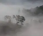 Nevoeiros à vista: cidades terão baixa visibilidade nesta quarta (4)