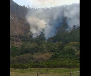 VÍDEO | Novo foco de incêndio em vegetação é combatido em Castelo Novo incêndio em Castelo