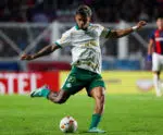 Palmeiras x Atlético-MG: onde assistir, horário e escalações