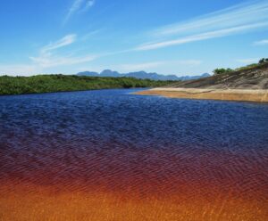 Descubra a Lagoa da Coca-Cola, um paraíso de águas escuras no ES Lagoa da Coca-Cola, Parque Estadual Paulo Cesar Vinha, Guarapari