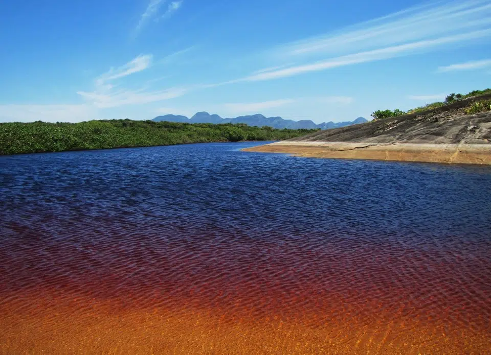 Lagoa da Coca-Cola, Parque Estadual Paulo Cesar Vinha, Guarapari