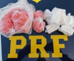 PRF apreende mais de 200 pinos de cocaína dentro de carro na BR-101