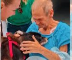 Emocionante! Idoso reencontra sua cachorrinha após ficar 15 dias na UTI