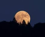 Superlua: fenômeno pode ser visto nesta sexta-feira (15) em todo Brasil