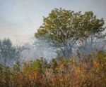 Cidades do ES seguem em alerta para baixa umidade do ar nesta segunda (2)