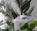 Umidificador ou purificador: o que saber na hora de comprar um?