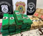 PF apreende 30 quilos de maconha em empresa de envio de mercadorias no ES