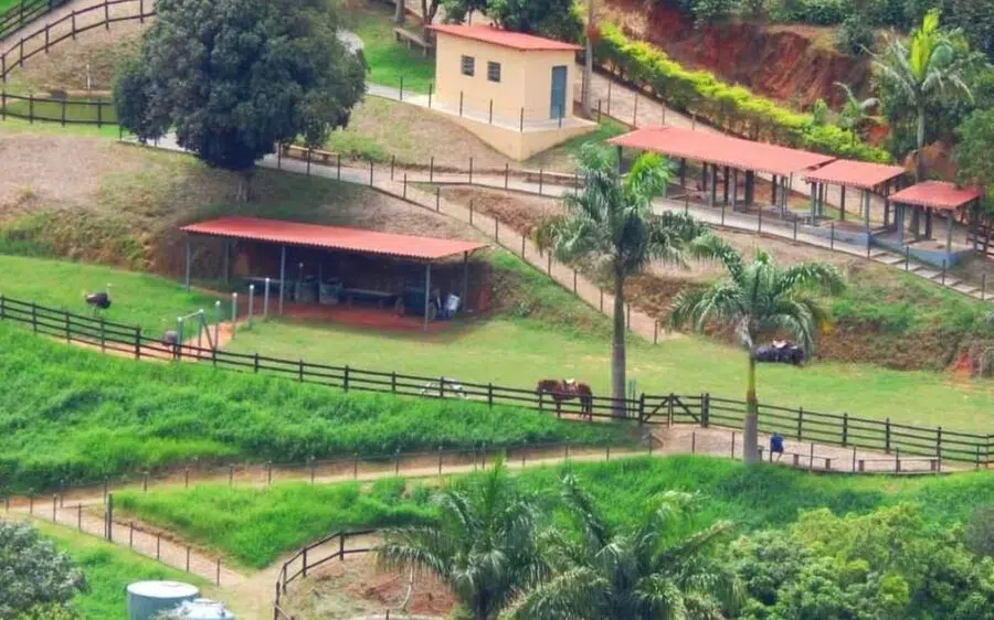 Foto: Reprodução / Instagram @parquecachoeiradasandorinhas Foto: Reprodução / Instagram @parquecachoeiradasandorinhas
