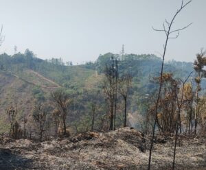 Incêndio atinge área próxima à torres de comunicações no Caparaó Muniz Freire