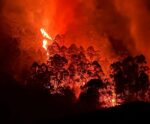 Vídeo | Incêndio atinge área de mata próximo a residências em Ibitirama