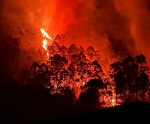 Reunião sobre prevenção a incêndios é realizada no Espírito Santo Caparaó