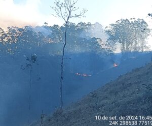 Suspeito de provocar incêndio em cidade do Espírito Santo é preso Incêndio em Domingos Martins