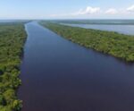 Veja o que foi descoberto em meio à seca histórica na Amazônia