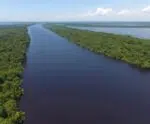 Veja o que foi descoberto em meio à seca histórica na Amazônia