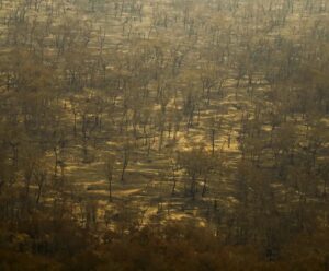Incêndios e seca na Amazônia e no Pantanal batem marcas históricas