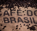 Exportações dos Cafés do Brasil em oito meses somam US$ 7,23 bi