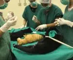 Campanha transforma tampinhas de plástico em benefícios para animais