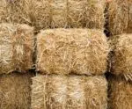 Canadá abre mercado para feno e fibra de coco do Brasil