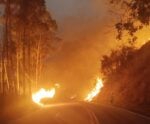 Queimadas: fogo deixa rodovia interditada no Sul do Espírito Santo