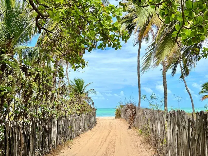 Nordeste - Icaraí de Amontoada