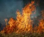 Bebê morre em incêndio em prédio; outras duas pessoas morreram