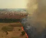 AGU cria grupo estratégico para combater crimes ambientais