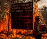 Desmatamento do Cerrado emitiu 135 milhões de toneladas de CO2