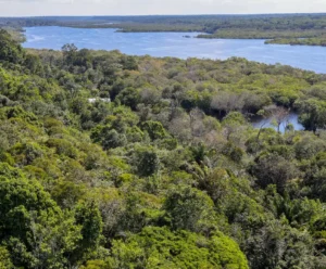 Mudança do Clima: Governo recebe sugestões para Política Nacional
