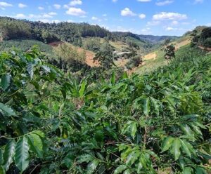 Como fica o agro com o Estado de Alerta sobre a situação hídrica no ES