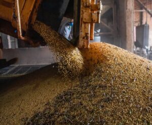 Após seis anos em alta, valor da produção agrícola cai 2,3% em 2023